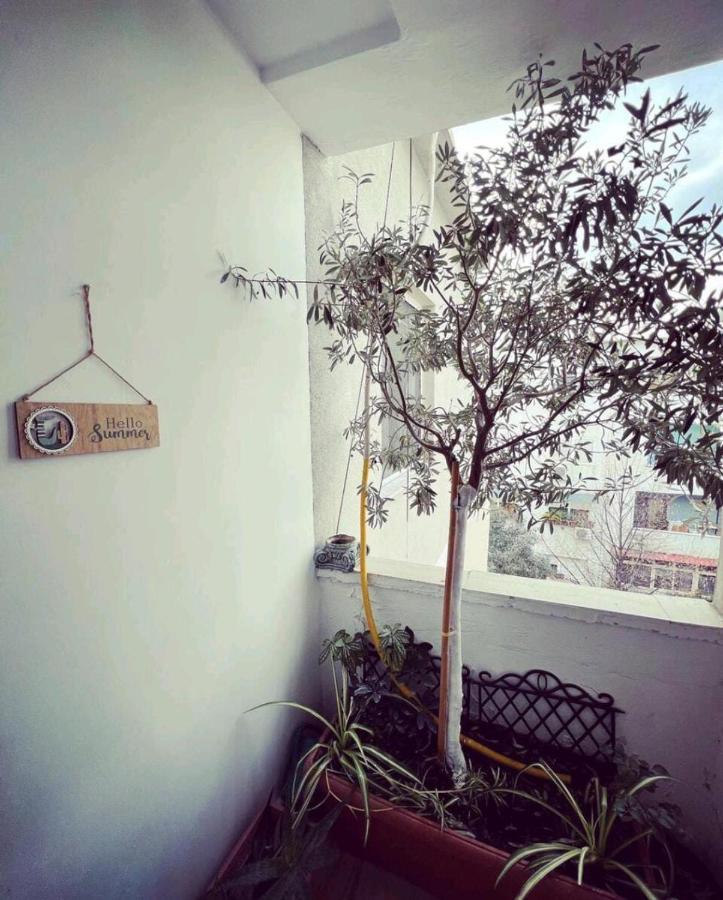 Cozy & Stylish Apartment Tirana Exterior photo